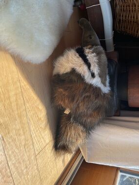 Plush Anteater Small Pet Toy - Brown and Cream